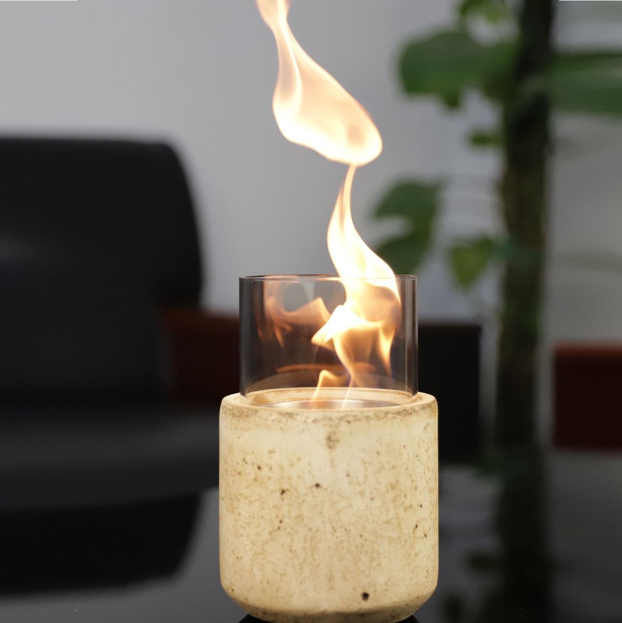 Bioethanol Fire (1)
